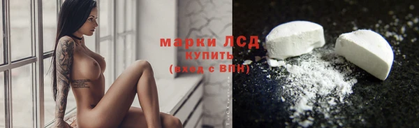 индика Чердынь