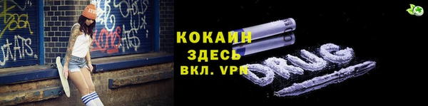 дживик Гусев