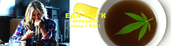 индика Чердынь