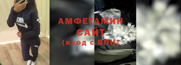 индика Чердынь