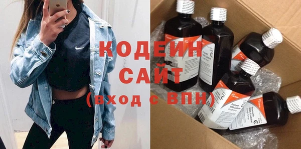 индика Чердынь