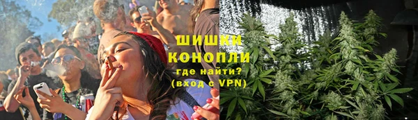 мяу мяу мука Чекалин