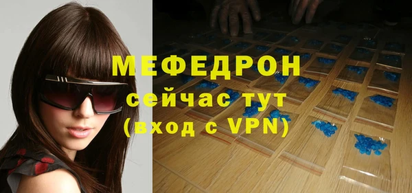 индика Чердынь