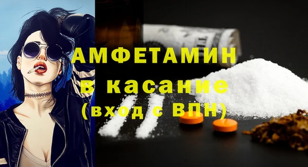 индика Чердынь
