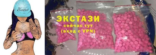 индика Чердынь