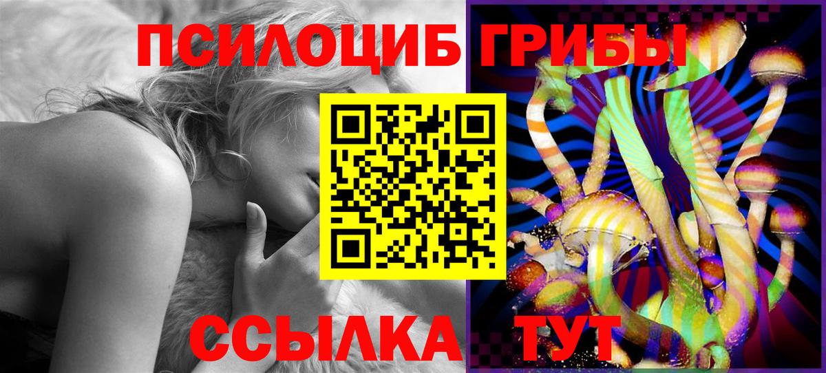 Галлюциногенные грибы Psilocybe Ярцево