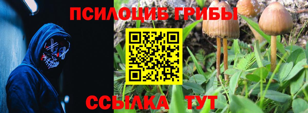 Галлюциногенные грибы Magic Shrooms  Вход с VPN  Псилоцибиновые грибы мухоморы  Ярцево 
